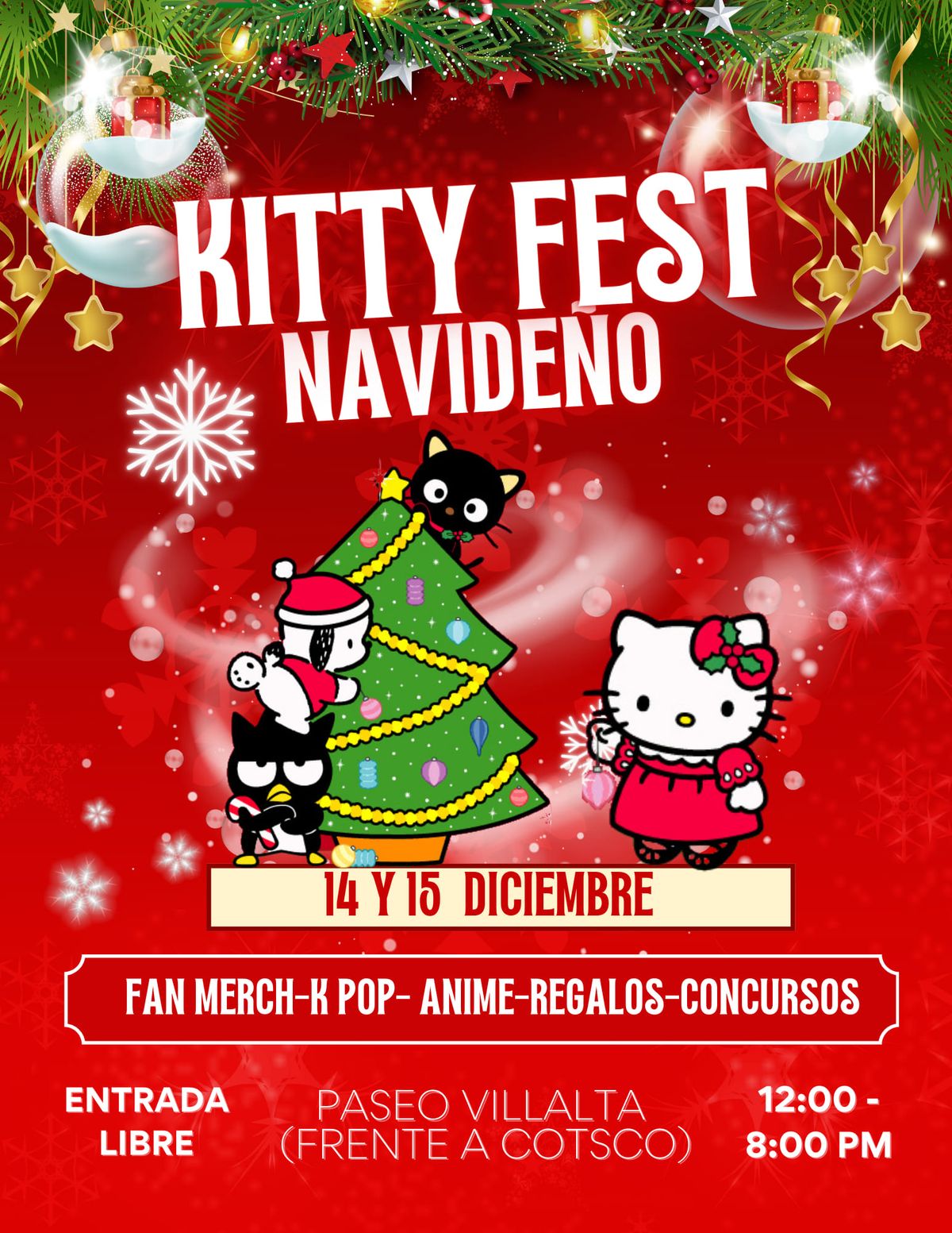 Kitty Fest Saltillo