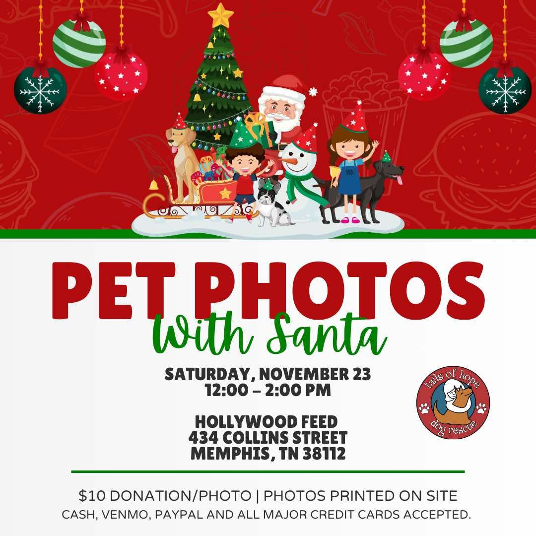 Pet Pics with Santa Paws! 