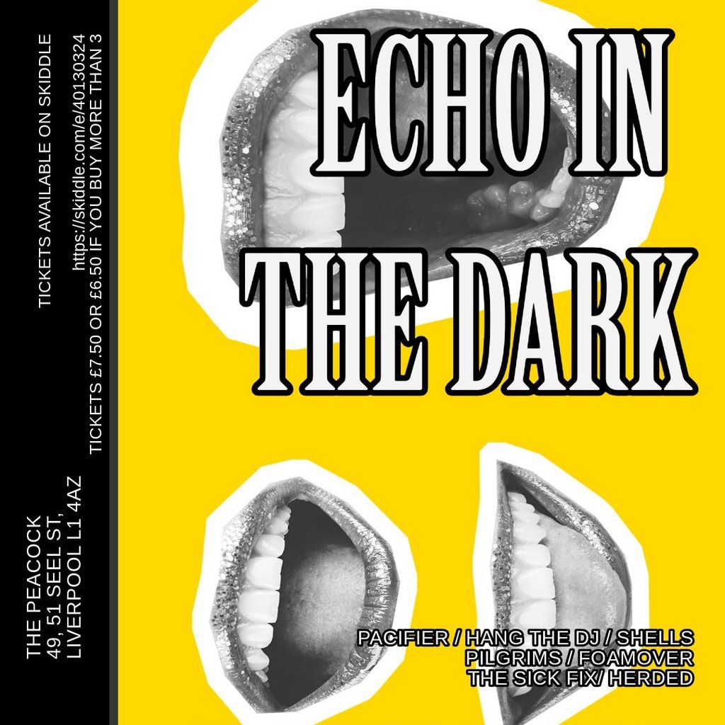 Echo in the dark