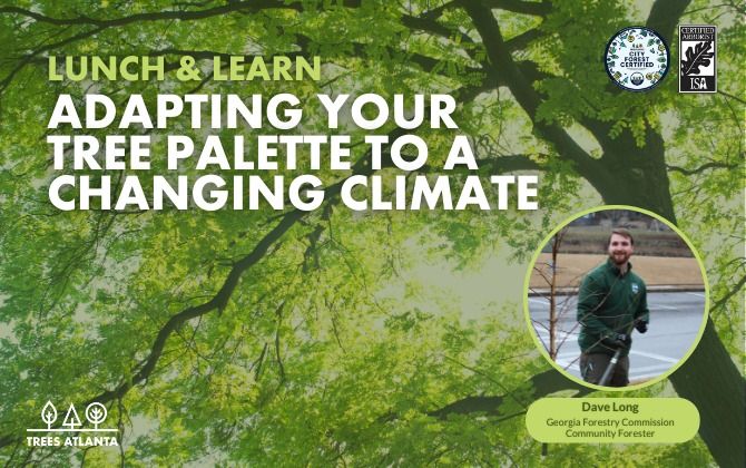 Lunch and Learn: Adapting Your Tree Palette to a Changing Climate