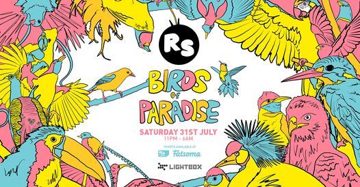 Regressions Sessions : Birds of Paradise Party!