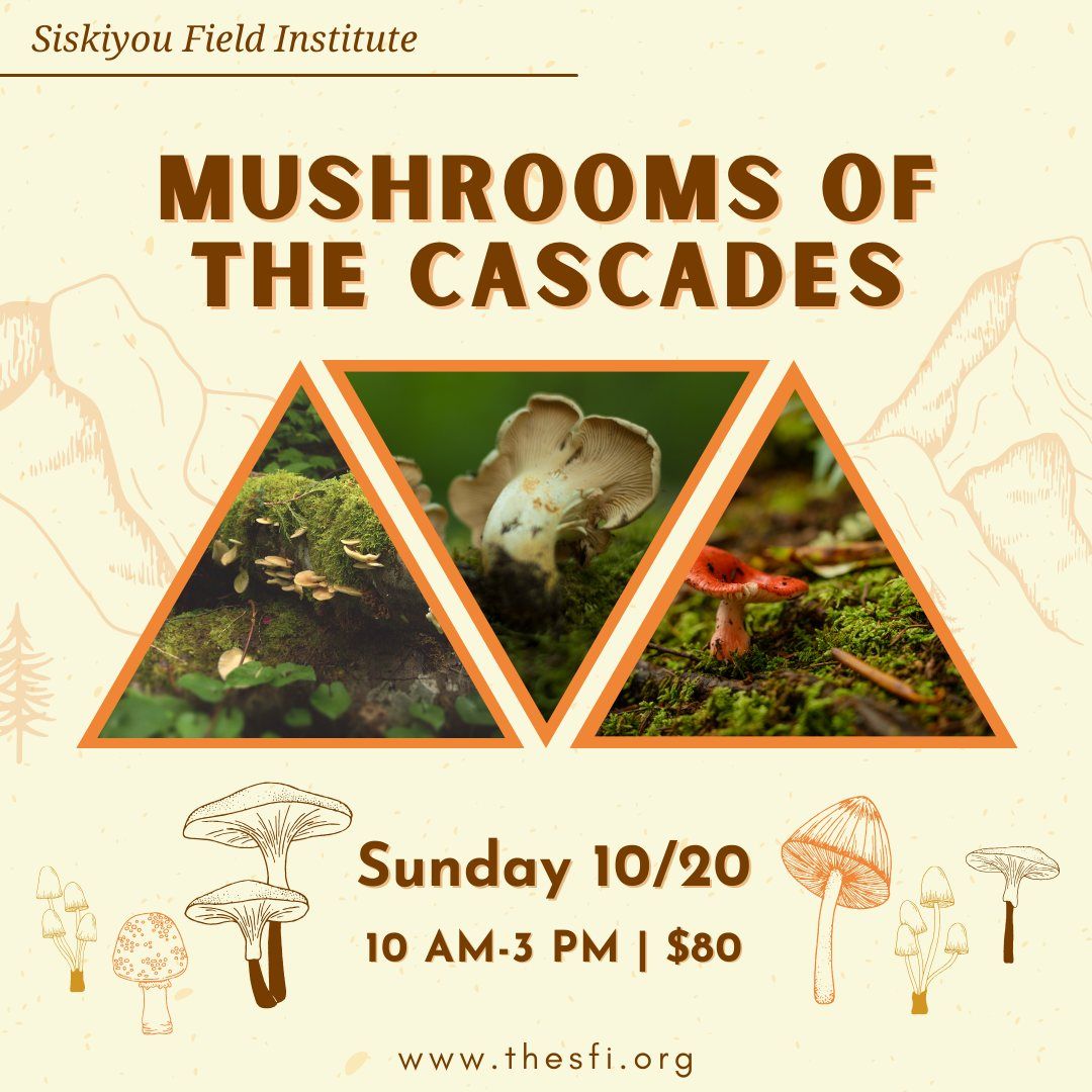 Mushrooms of the Cascades