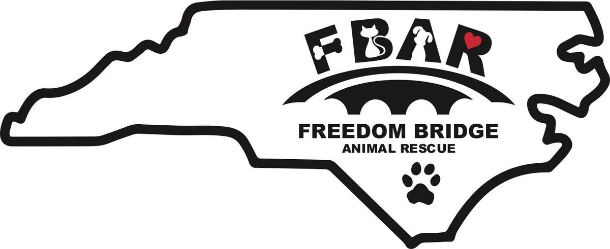 Adoption Event with Freedom Bridge