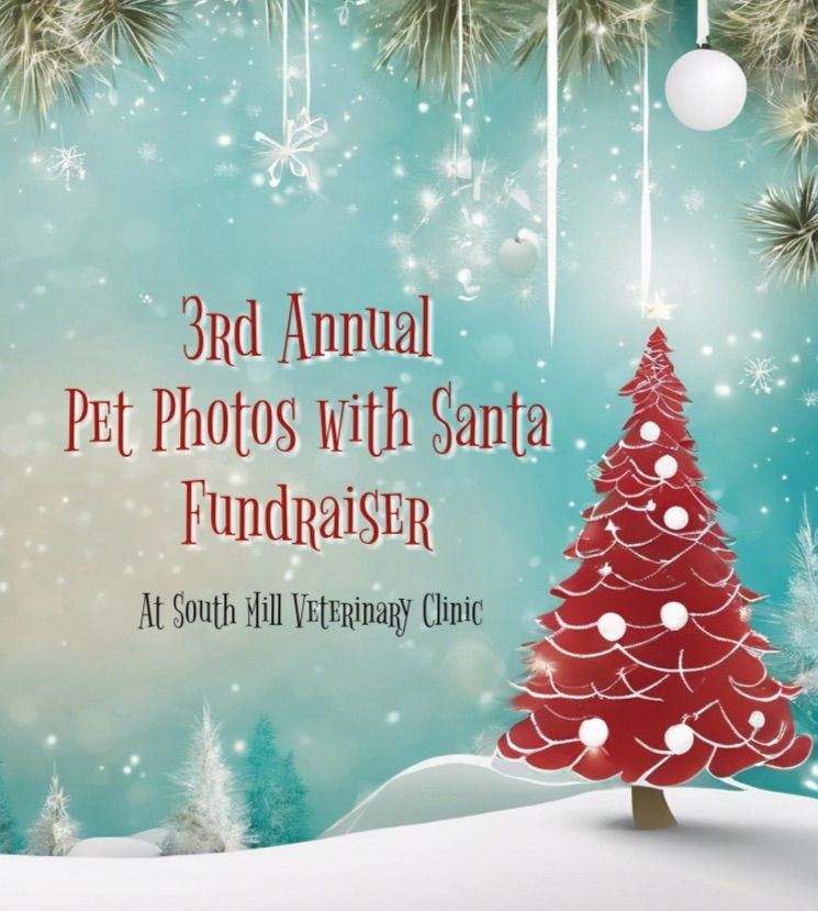 3rd Annual Pet Photos with Santa Fundraiser