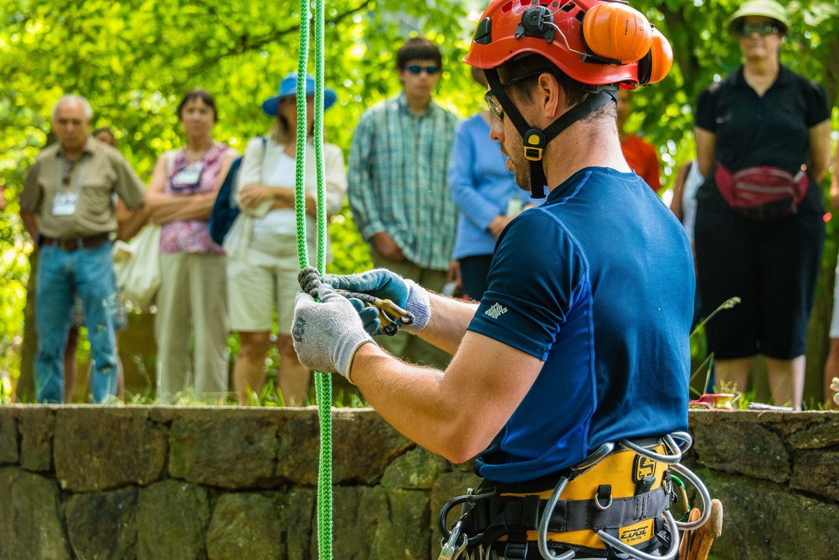 Garden & Estate Insider: Sawmill Reforestation