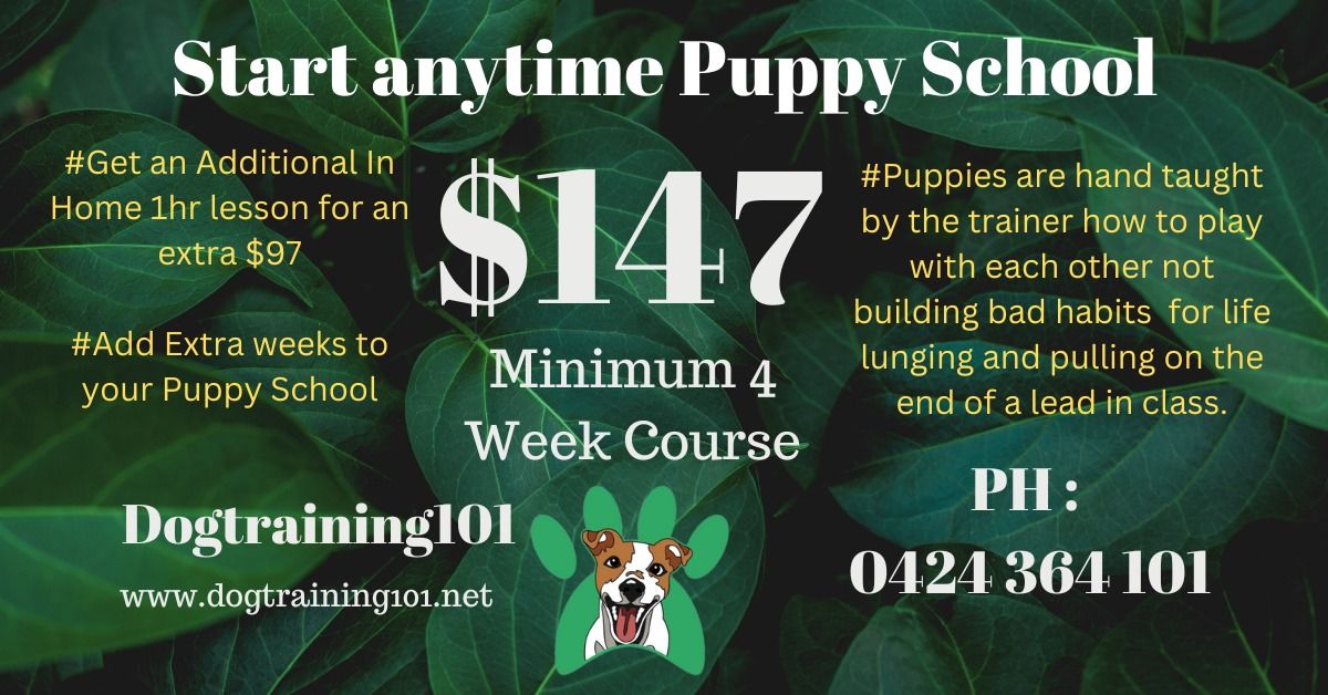 Albany Creek Puppy School 