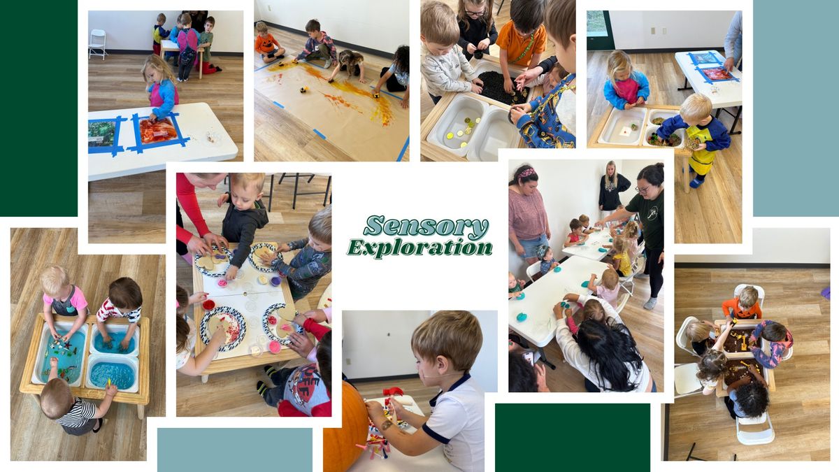 Sensory Exploration