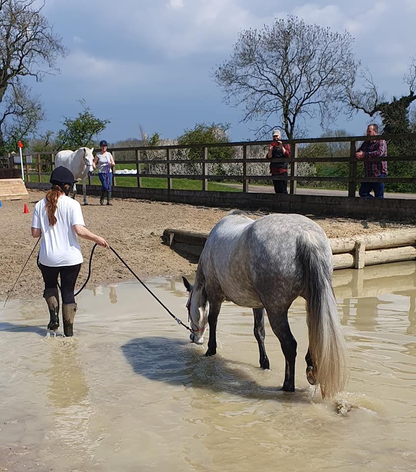 Spring day camp at Aylesford Equine