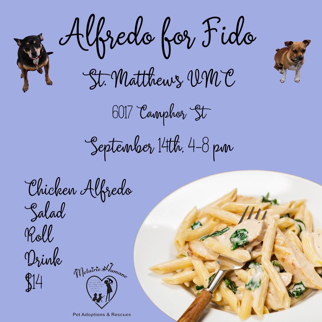 Alfredo for Fido