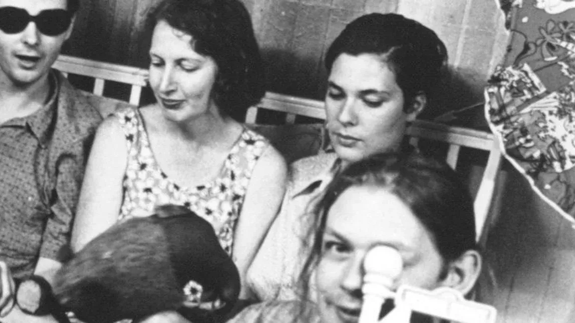 Stereolab in Wellington
