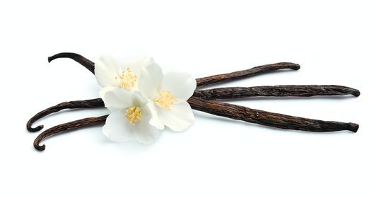 Ethnobotany of Vanilla and Vanillin
