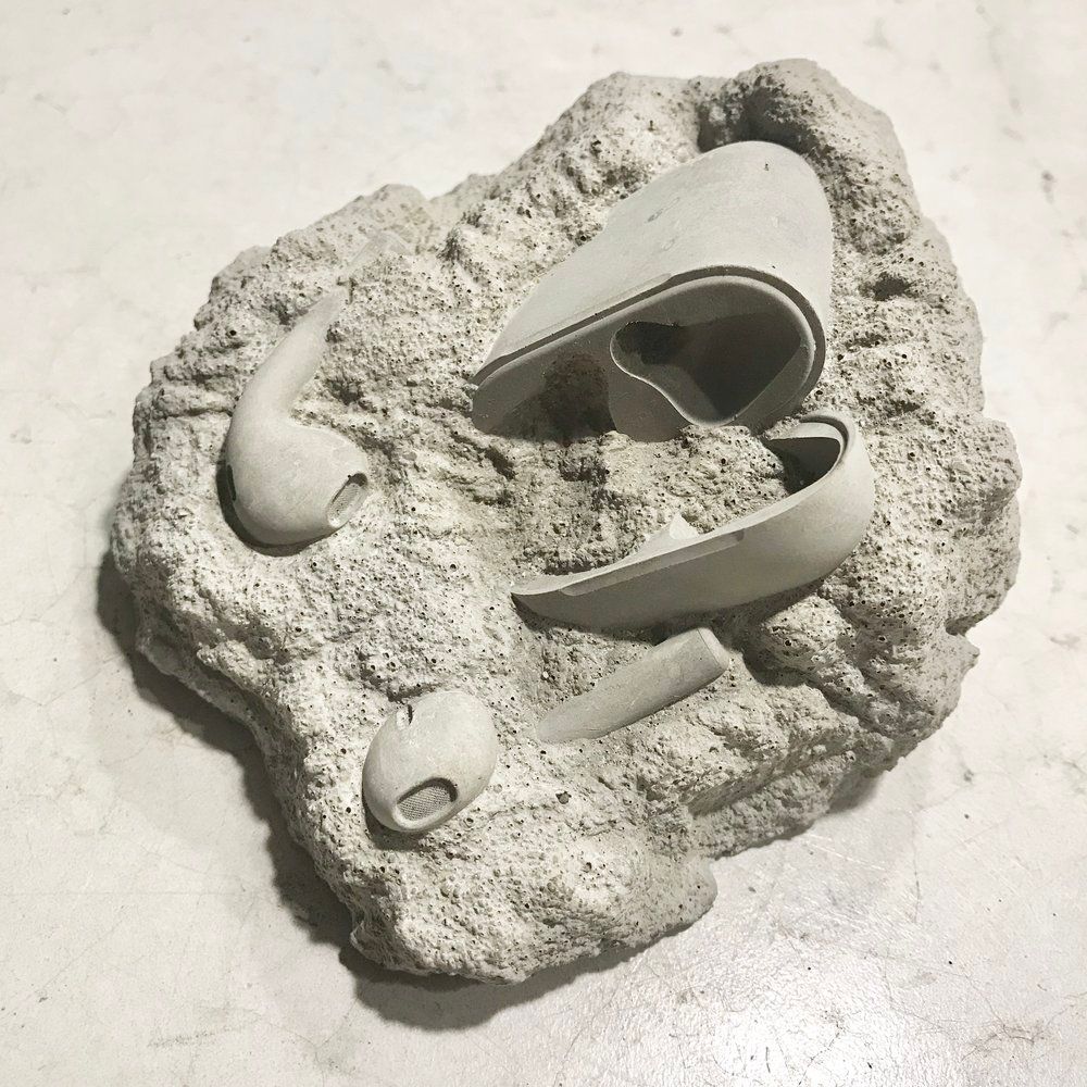 Modern Fossils