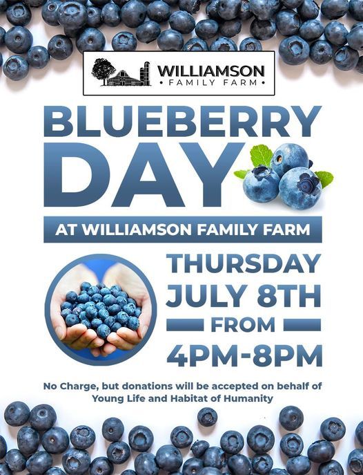 Blueberry Day