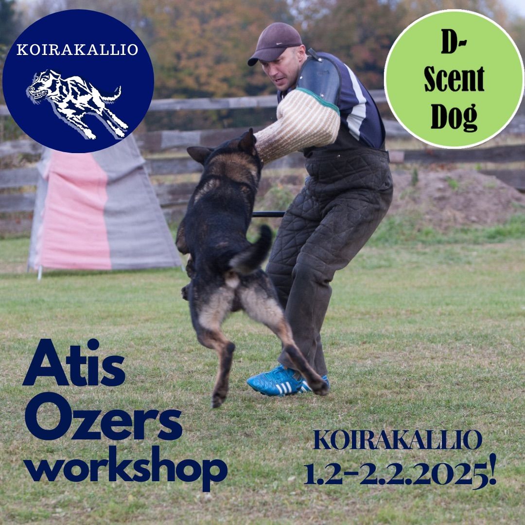 Atis Ozers workshop