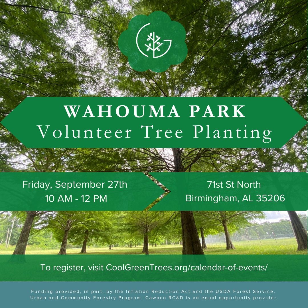 Come plant a tree in Wahouma Park \ud83c\udf33