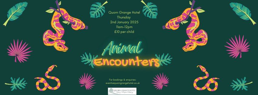 Animal Encounters