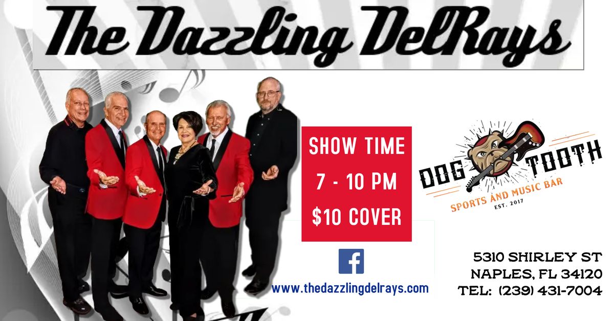 The Dazzling DelRays at Dogtooth 11\/08\/24