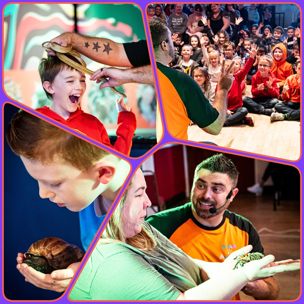 Mad 4 Animals - Free Family Entertainment Itchen Valley
