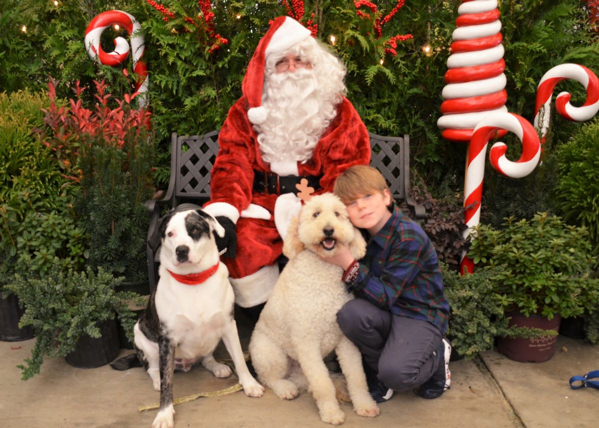 Photos with Santa at Subaru of Little Rock