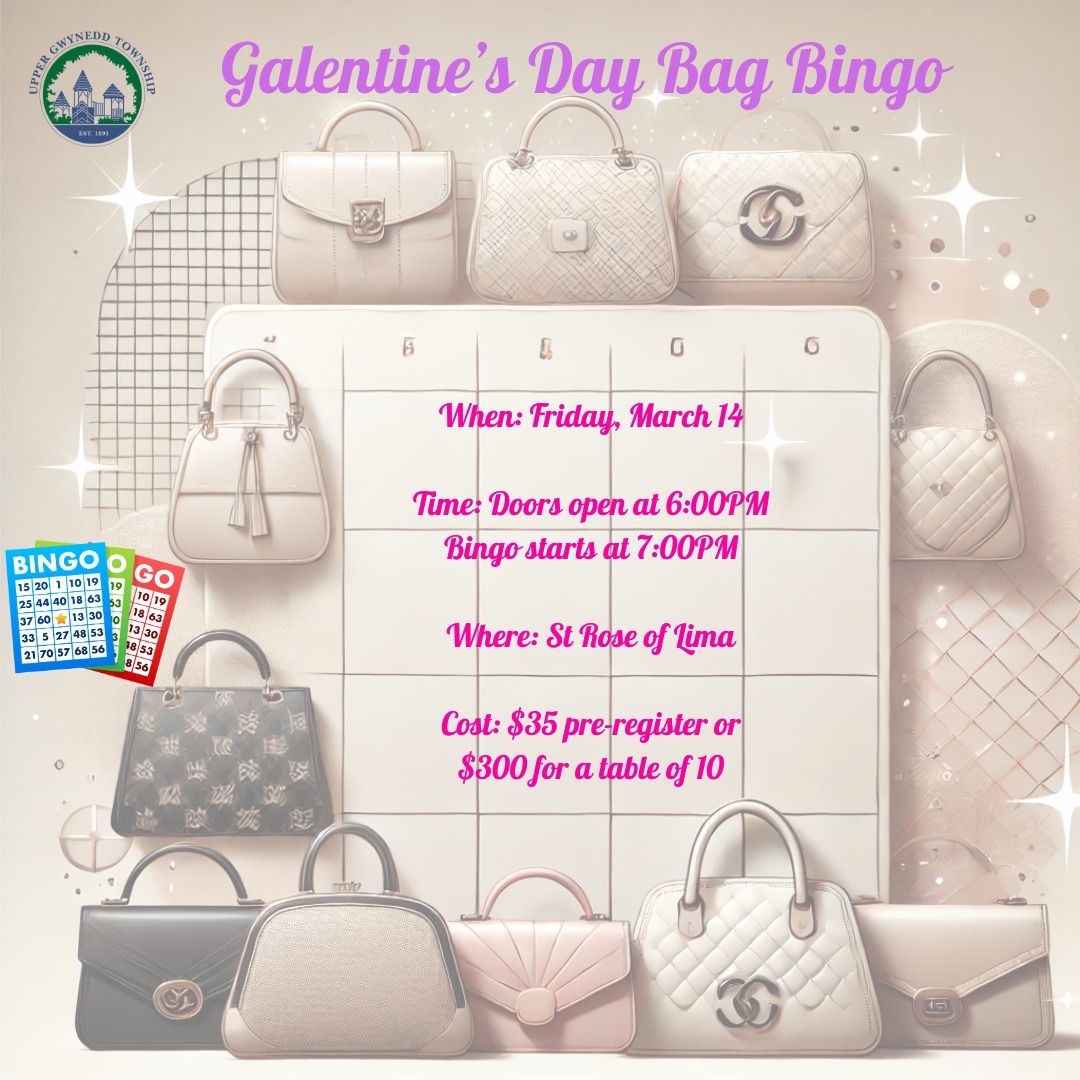 Galentine's Day Bag Bingo 2025