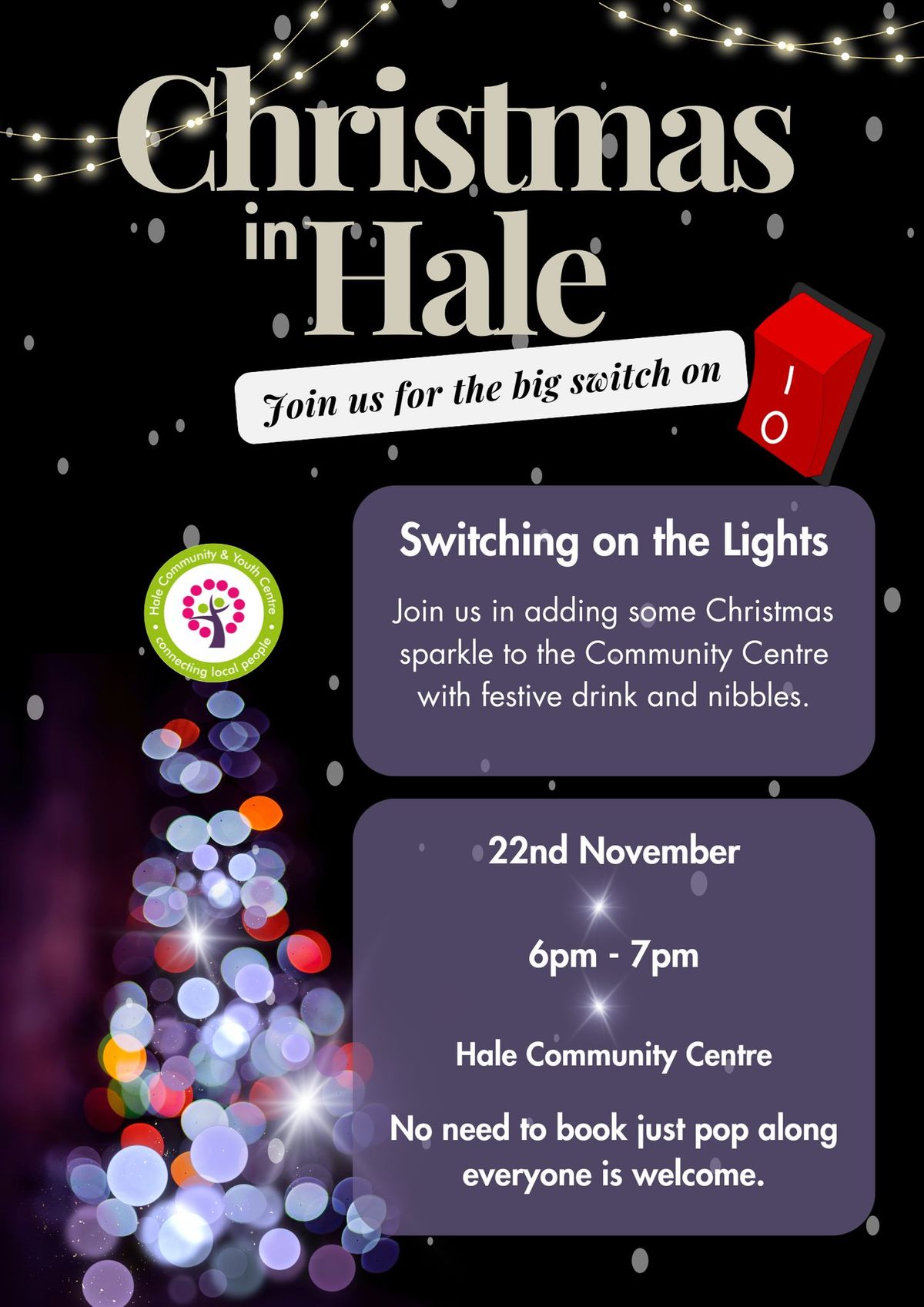 Hales Christmas Light Switch On