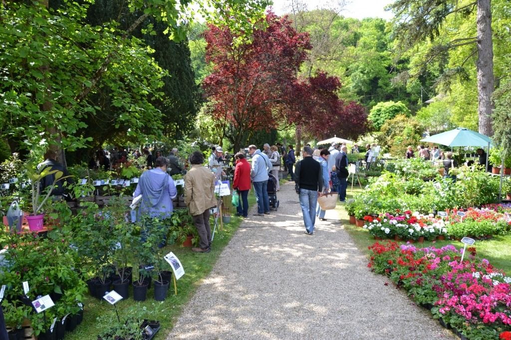 Les Fleurs de Mai de Saint-Benoit