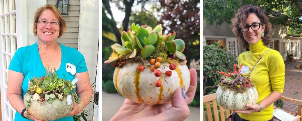 Succulent Pumpkin Decorating Workshop