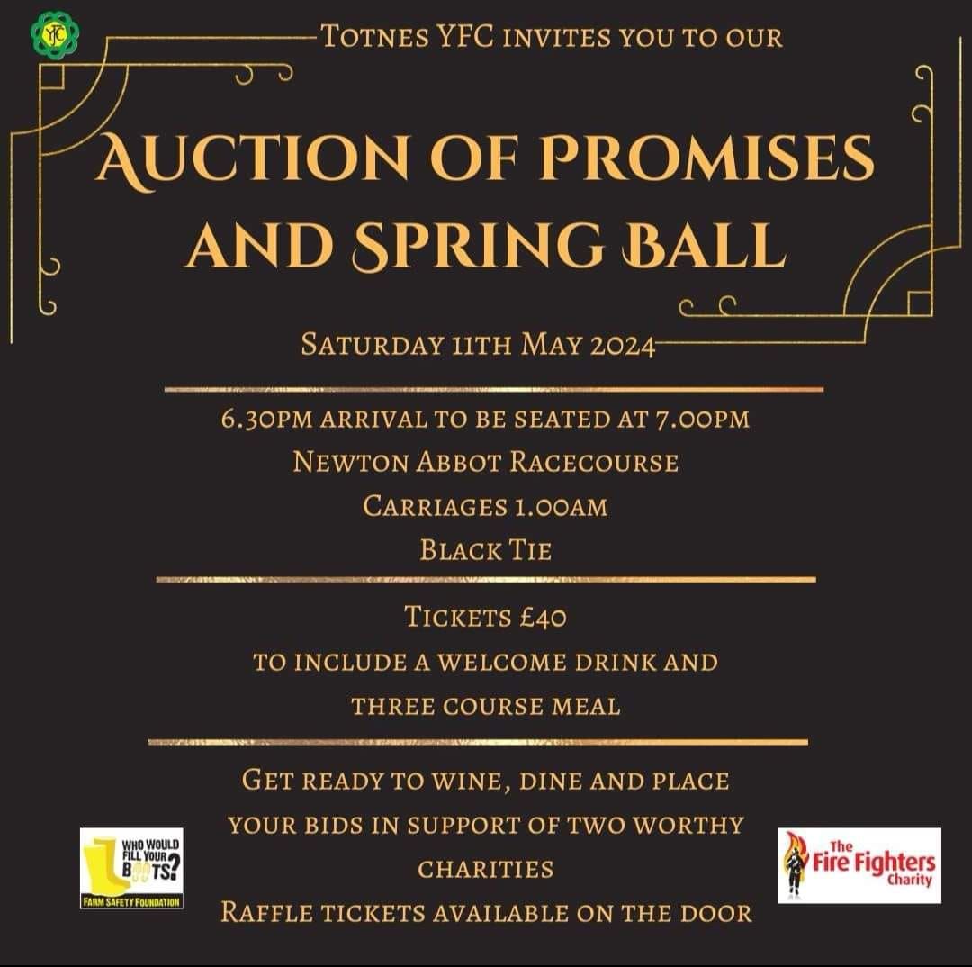 Totnes Auction and Spring Ball