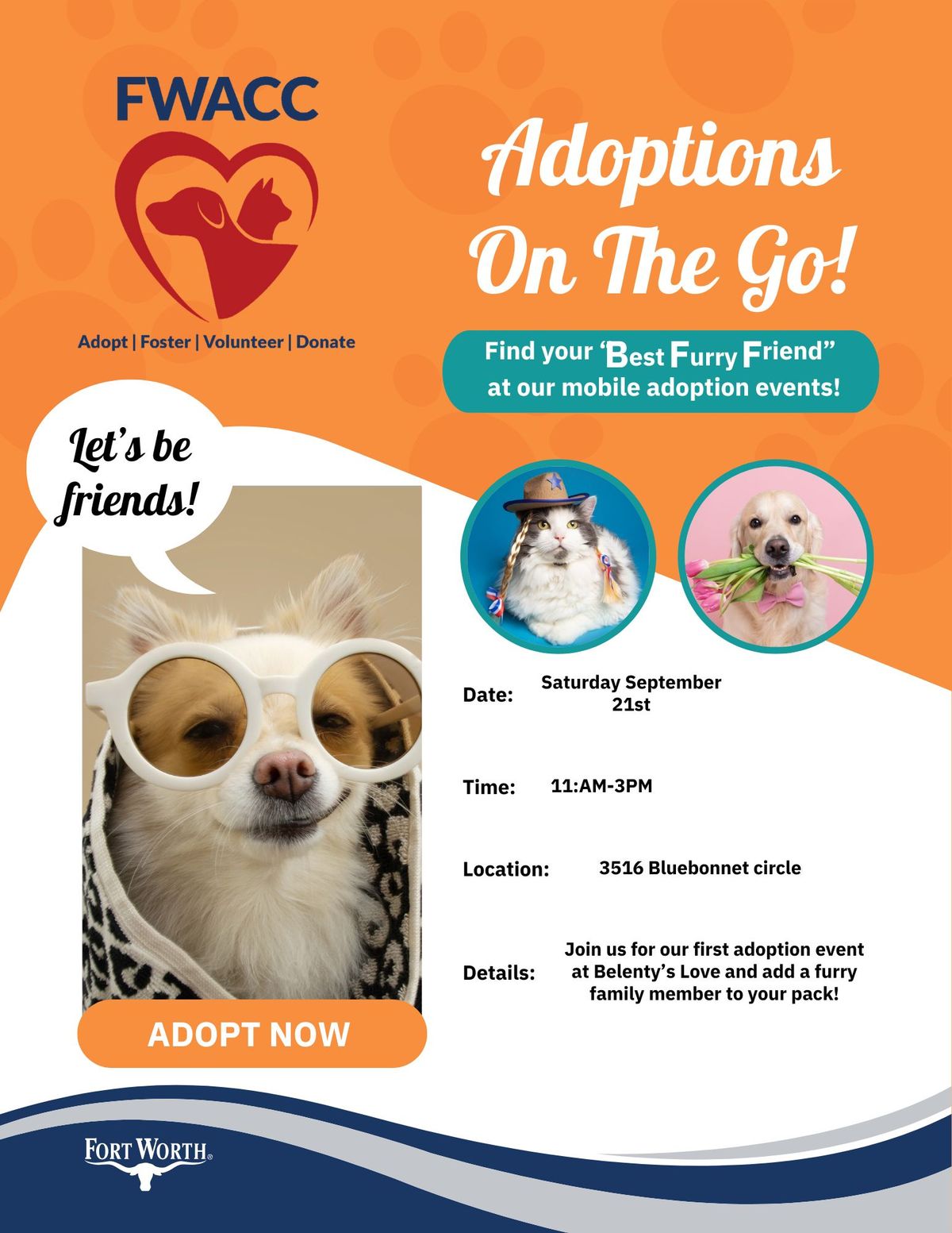 Belenty's Love adoption event