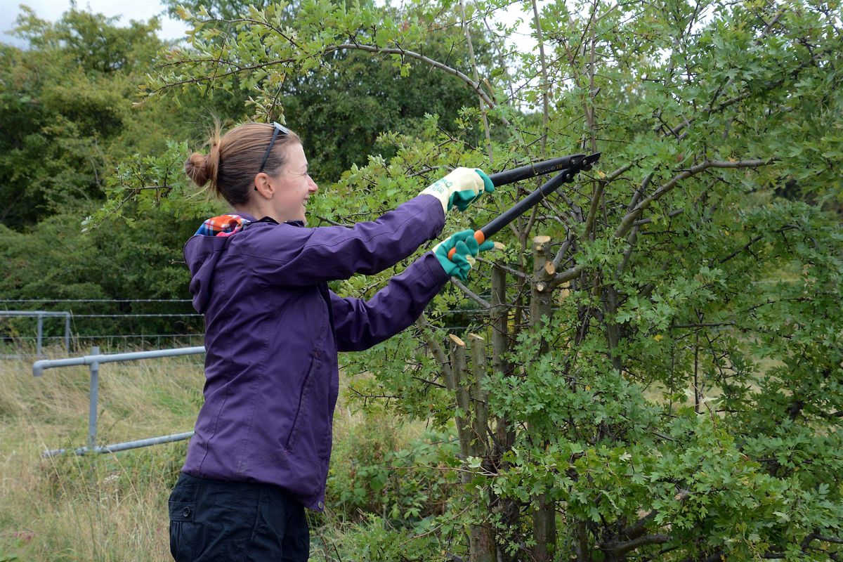 Volunteer Work Day: Woodhouse Washlands