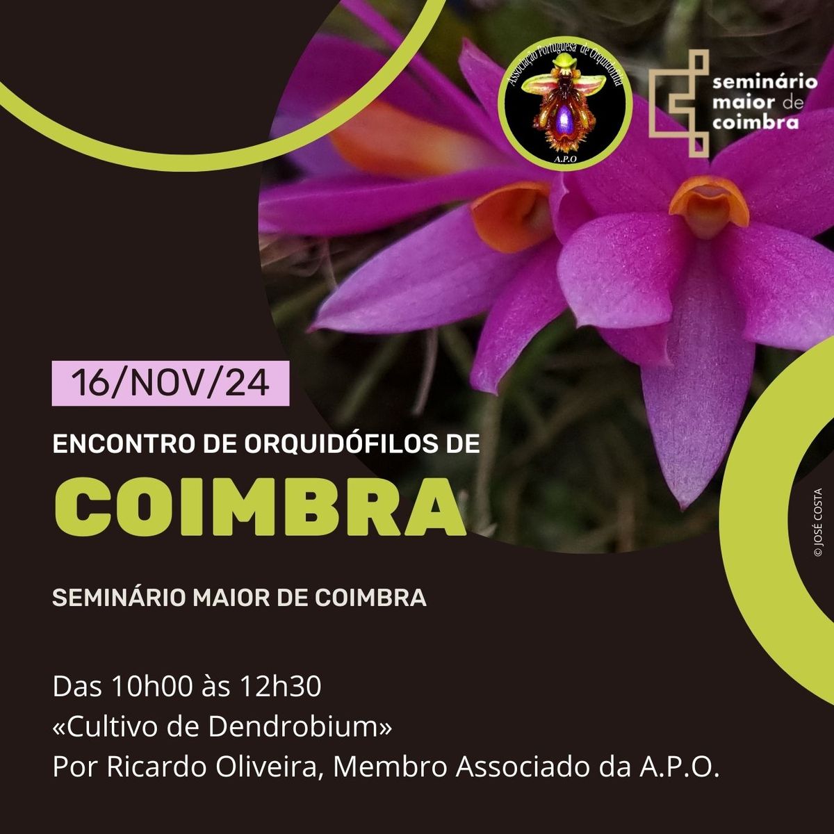 Encontro de Orquid\u00f3filos de Coimbra