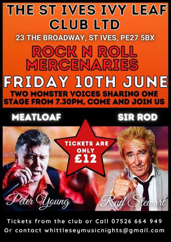 Rock and roll mercenaries meatloaf and rod stewart 80s icons