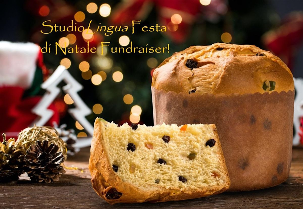 StudioLingua Festa Fundraiser