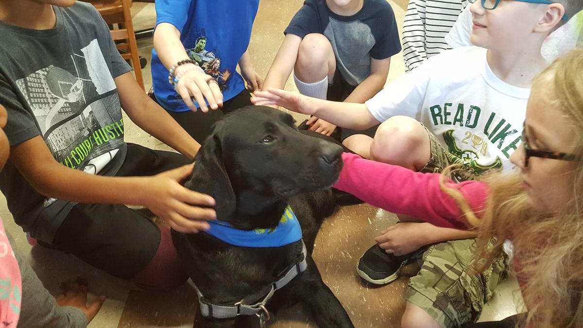 Canine Good Citizen Prep Class And Test