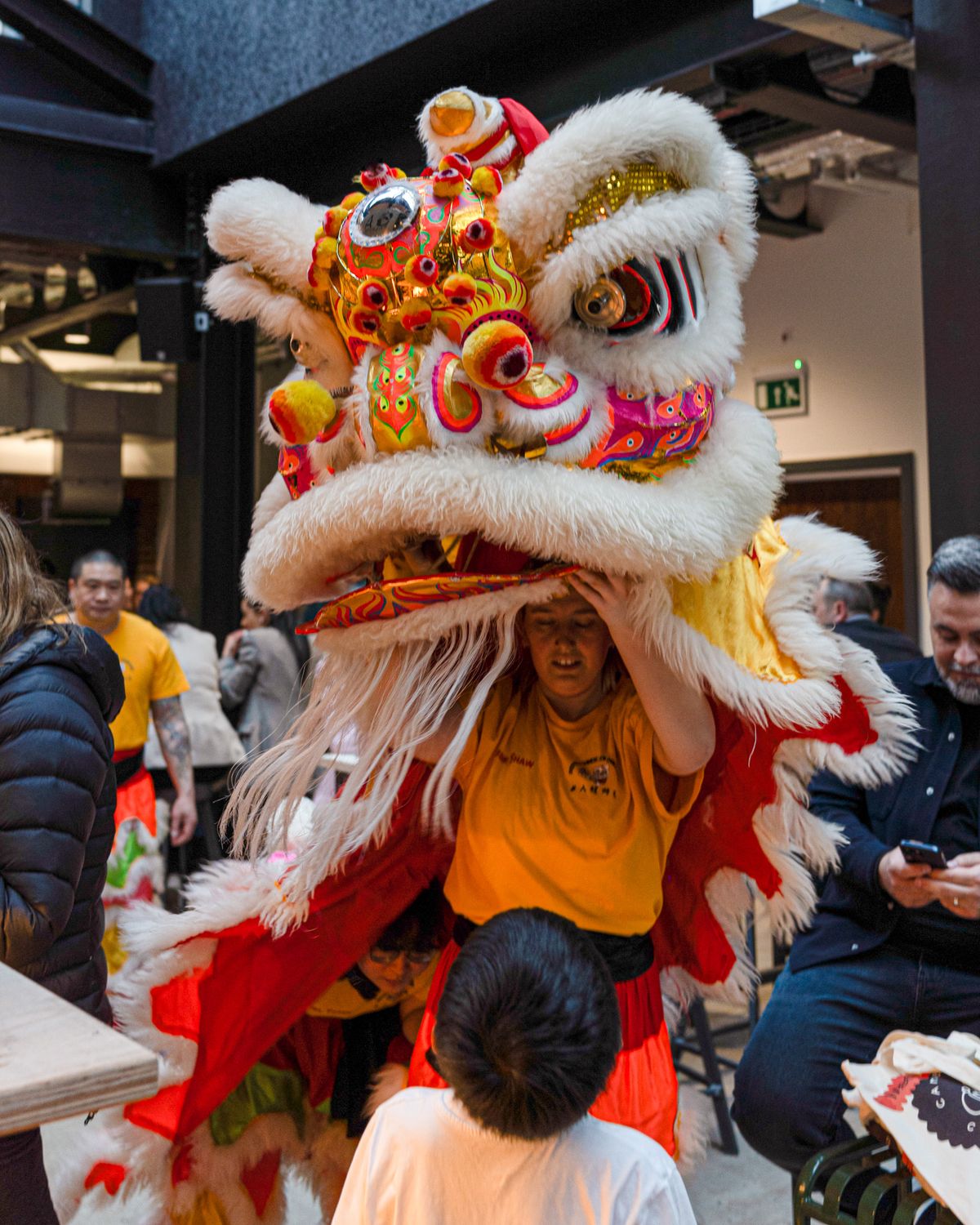 Chinese New Year - Lion Dance Performance