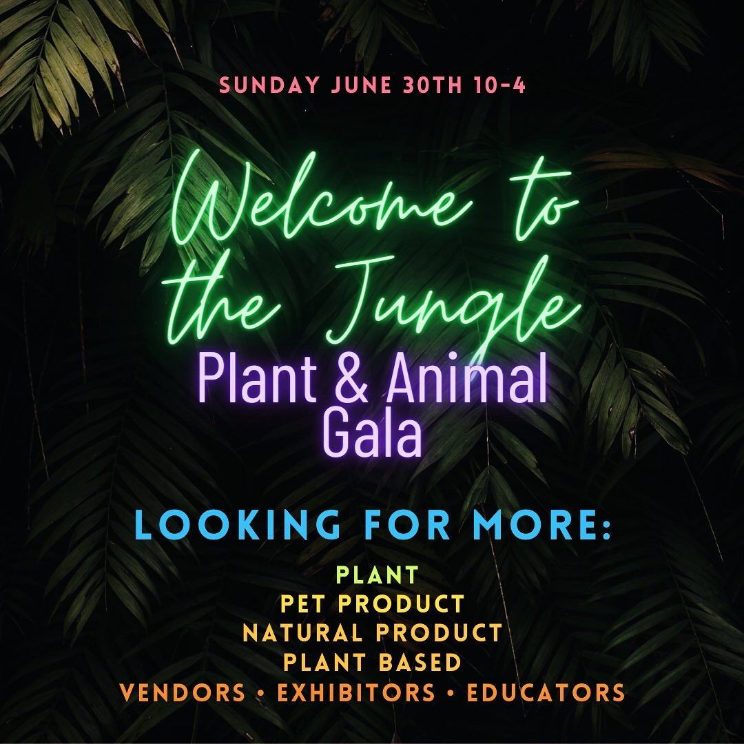 Welcome To The Jungle: Plant & Animal Gala