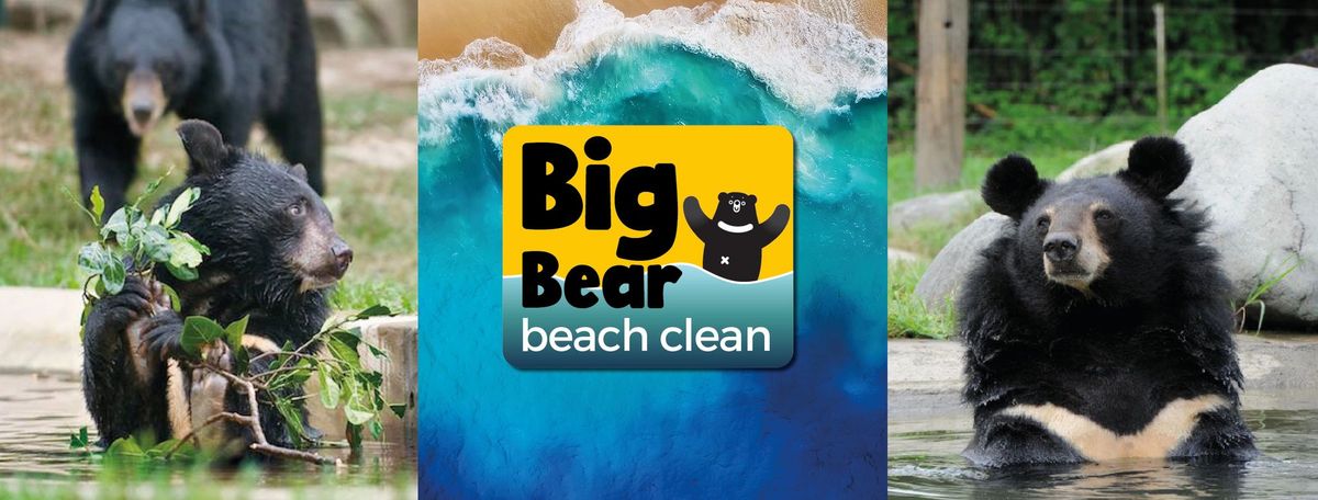 Big Bear beach clean Littlehaven