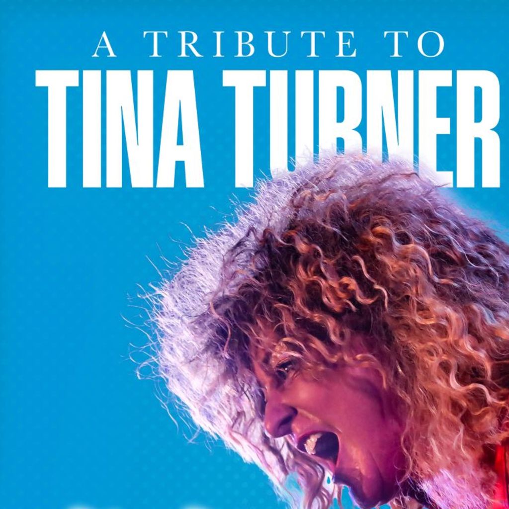 Tina Live The Tina Turner Experience