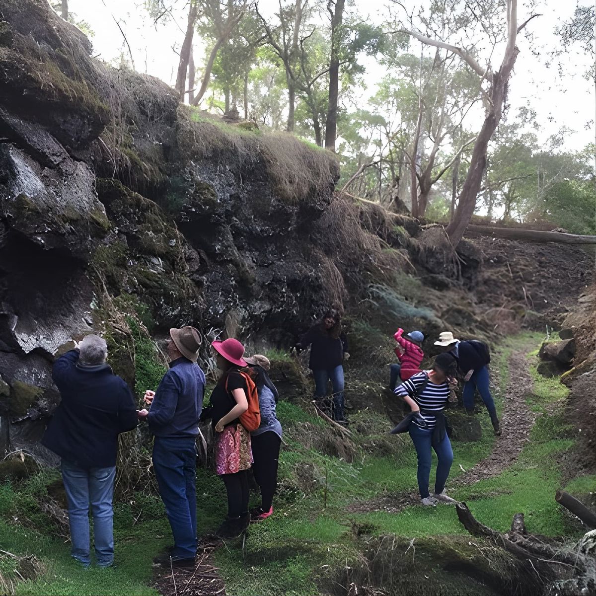 Mount Eccles Volcano \u2013 Budj Bim National Park 