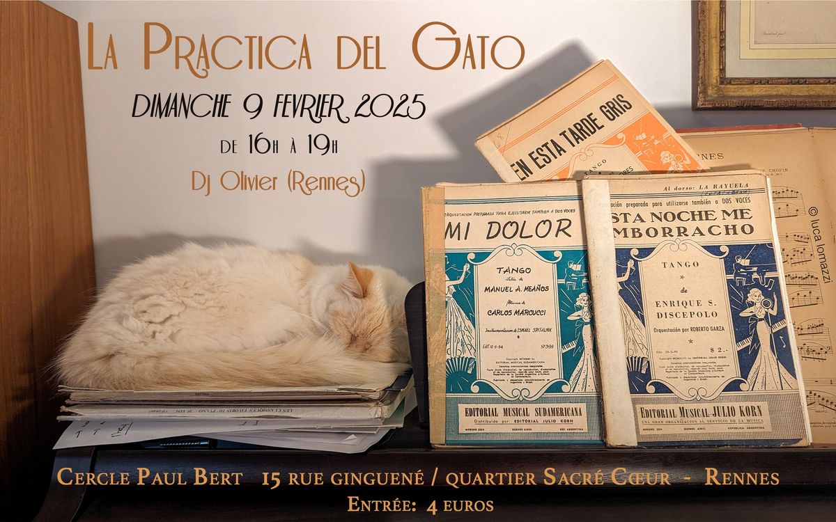 Practica del Gato!