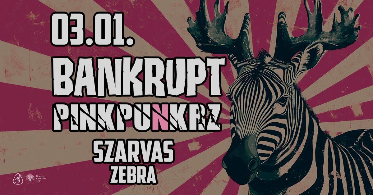 Bankrupt | Pinkpunkrz \\\\ Szarvas, Zebra