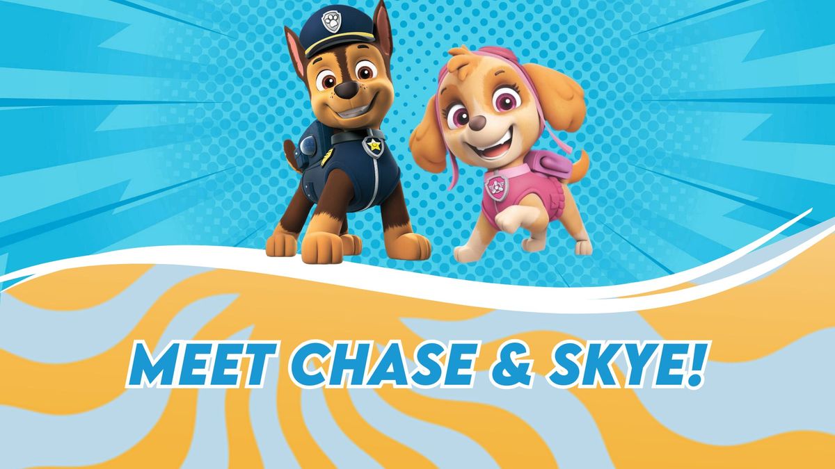 Meet Chase & Skye!