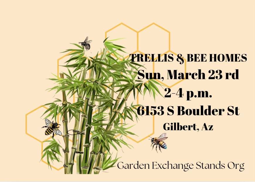 Trellis & Bee Homes hands-on workshop