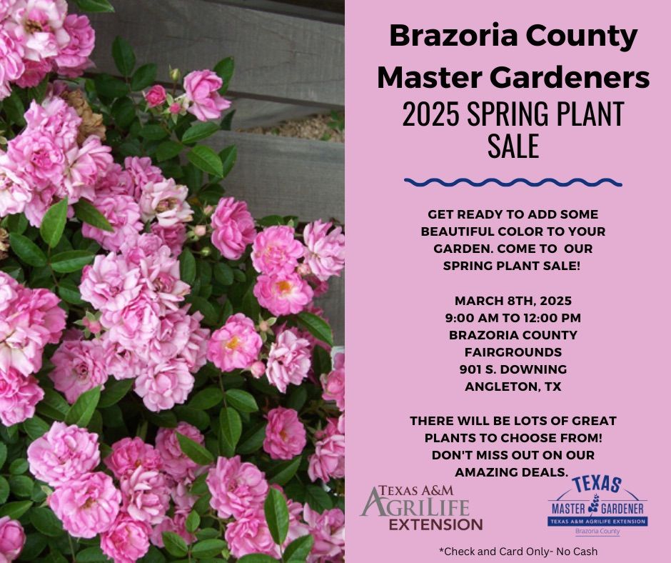 Brazoria County Master Gardeners   2025 SPRING PLANT SALE