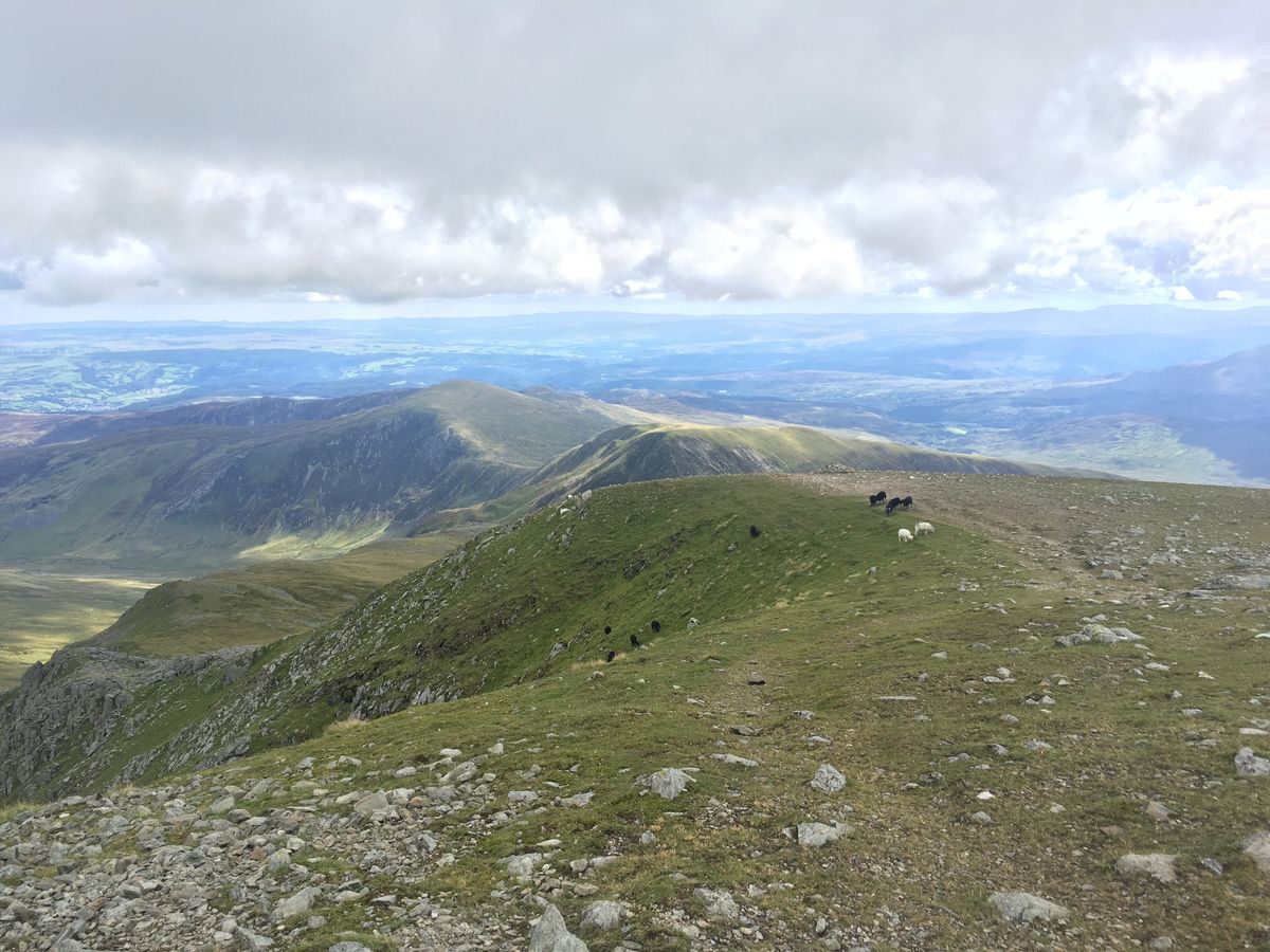 Mountain navigation course Snowdonia 