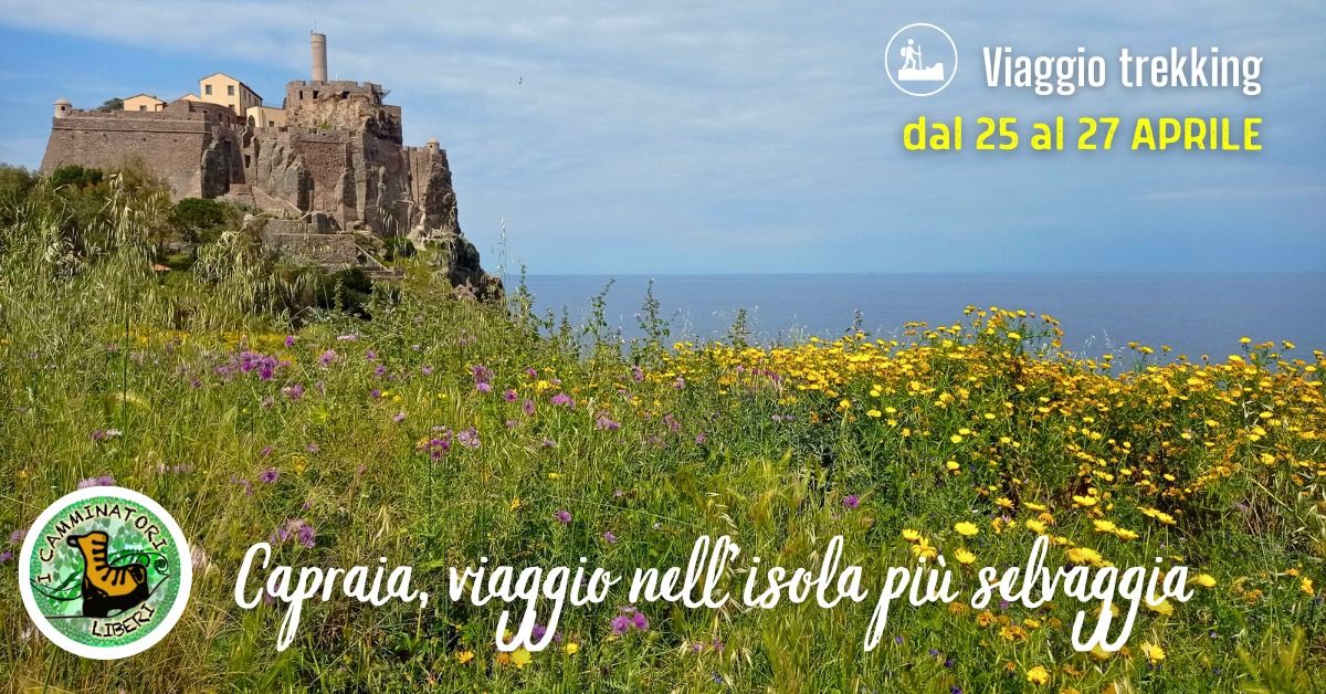 Capraia, viaggio nell'isola pi\u00f9 selvaggia