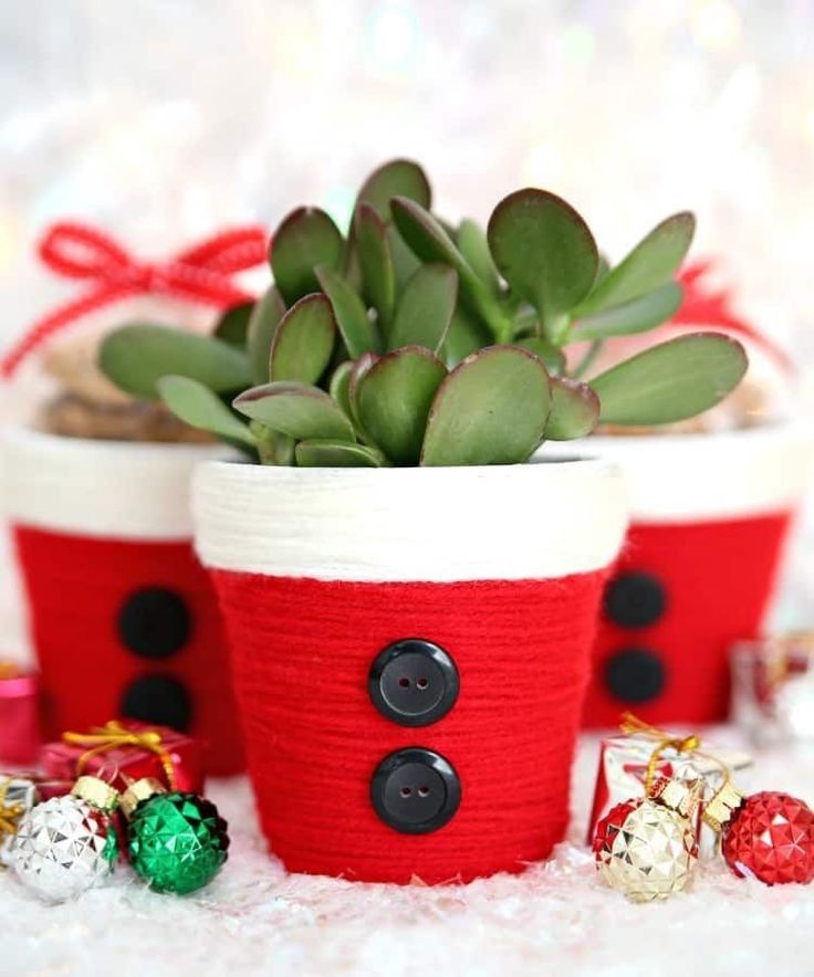 Festive Succulent Workshop