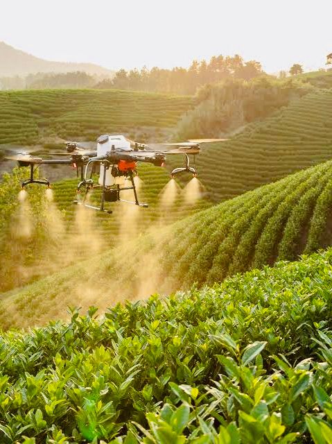 Dutch Innovation in Sustainable Agriculture and AgriTech 