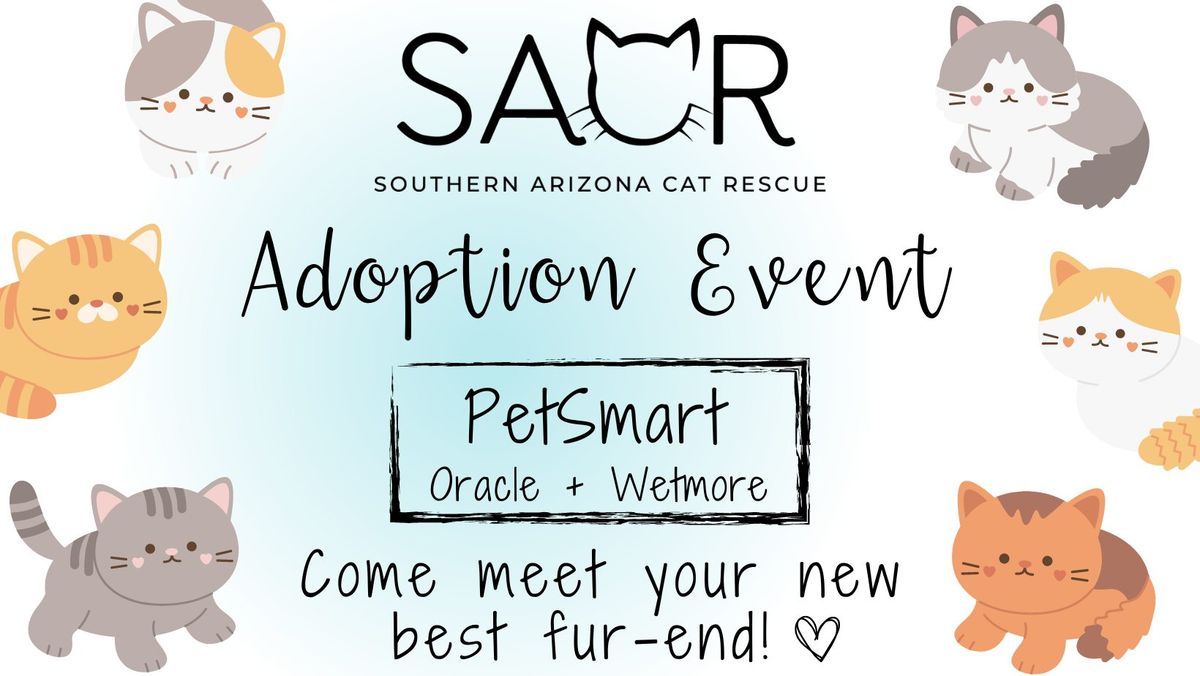 Cat & Kitten Adoption Event!