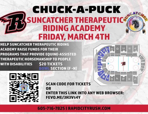 CHUCK-A-PUCK for SUNCATCHER